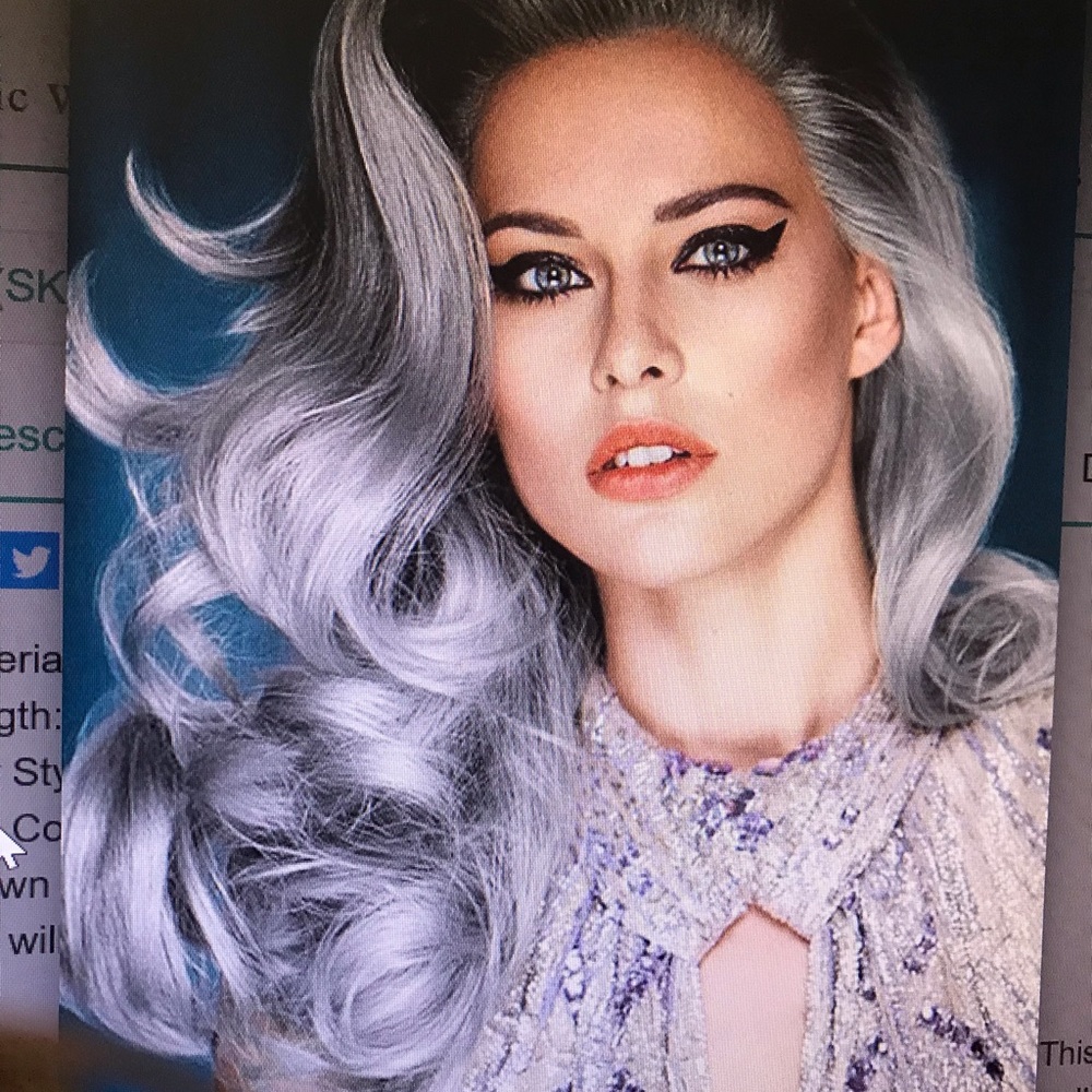 Brand new silver gray wig
